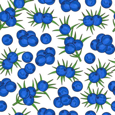 Ardıç. Berry, yaprakları. Arka plan, sorunsuz, doku. Renk