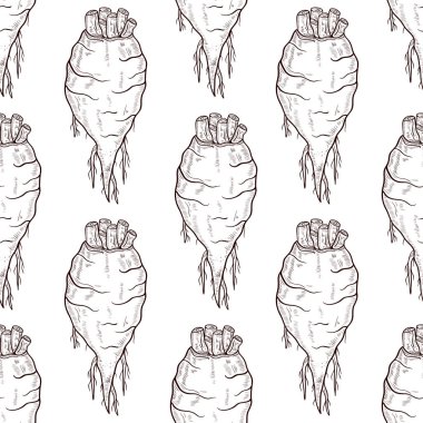 Şeker pancarı. Kök. Kroki. arka plan, duvar kağıdı, doku, kesintisiz.