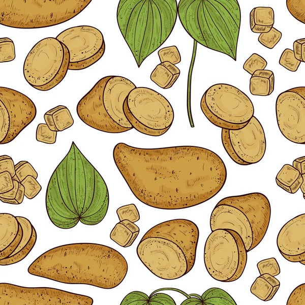 Yam. Knol, slice, blad, tak. Achtergrond, wallpaper, textuur, naadloze. Schets. Kleur. — Stockvector