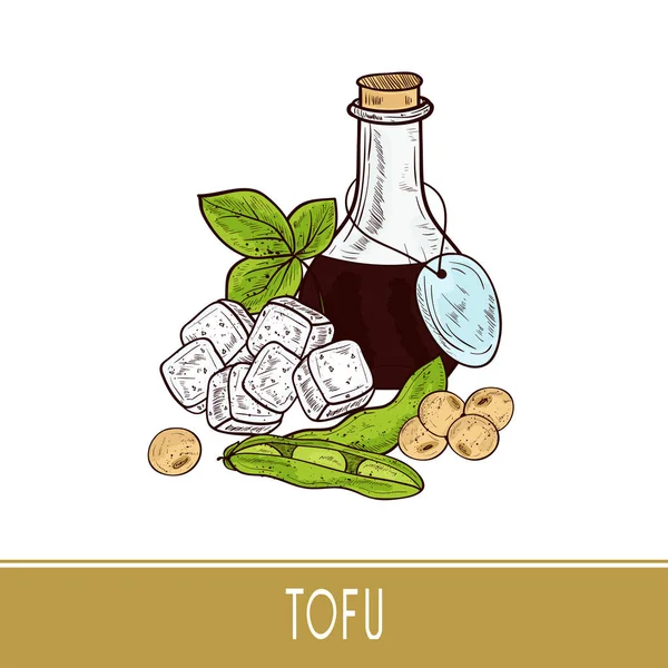 Tofu, sójová omáčka, pod, sójové boby, list. Skica. — Stockový vektor