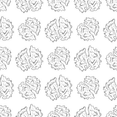 Ceviz. Çekirdek. Arka plan, duvar kağıdı, sorunsuz, doku. Kroki.