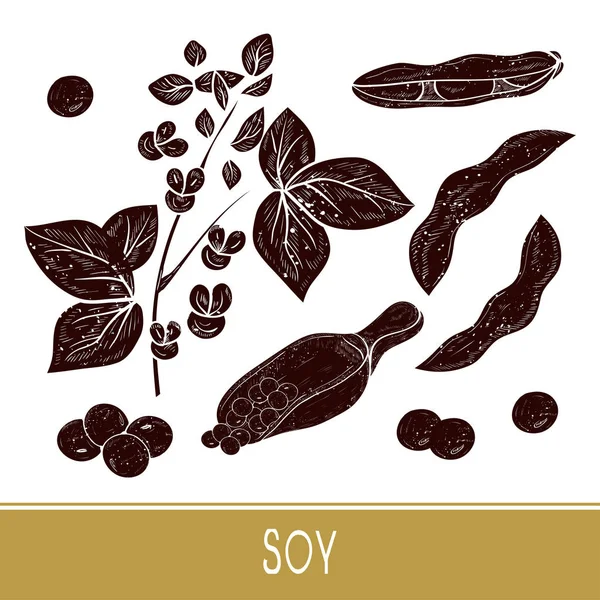 Soja. Plant van de bladeren, bloem, tak, fruit, pod. Scoop. Instellen. Zwarte silhouet op witte achtergrond. — Stockvector