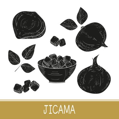 Jicama. Sebze. Kök, sac, kase. Tek sesli. Ayarlayın. Beyaz arka planda siyah siluet.