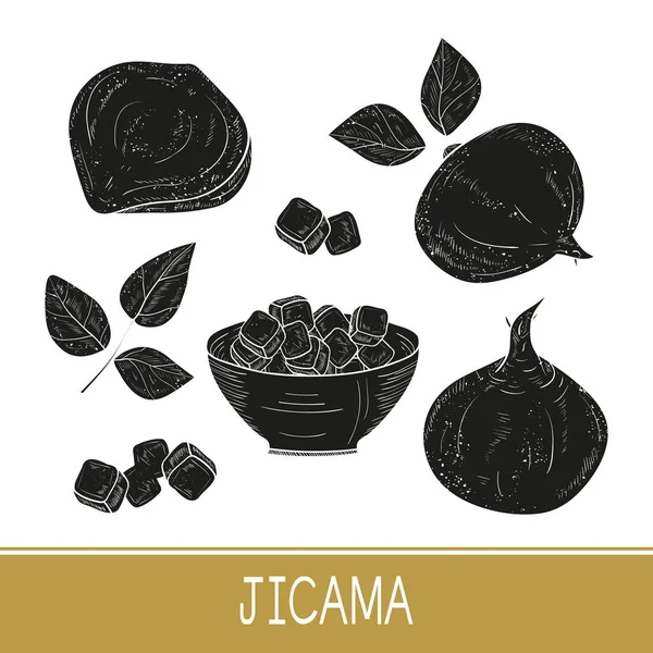 Jicama. Hortalizas. Raíz, sábana, tazón. Monofónico. Listos. Silueta negra sobre fondo blanco . — Vector de stock