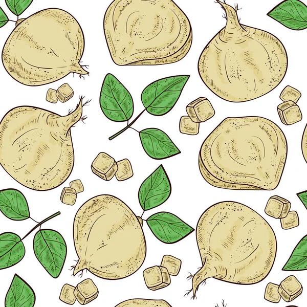 13 Jicama hand drawing Vector Images Depositphotos