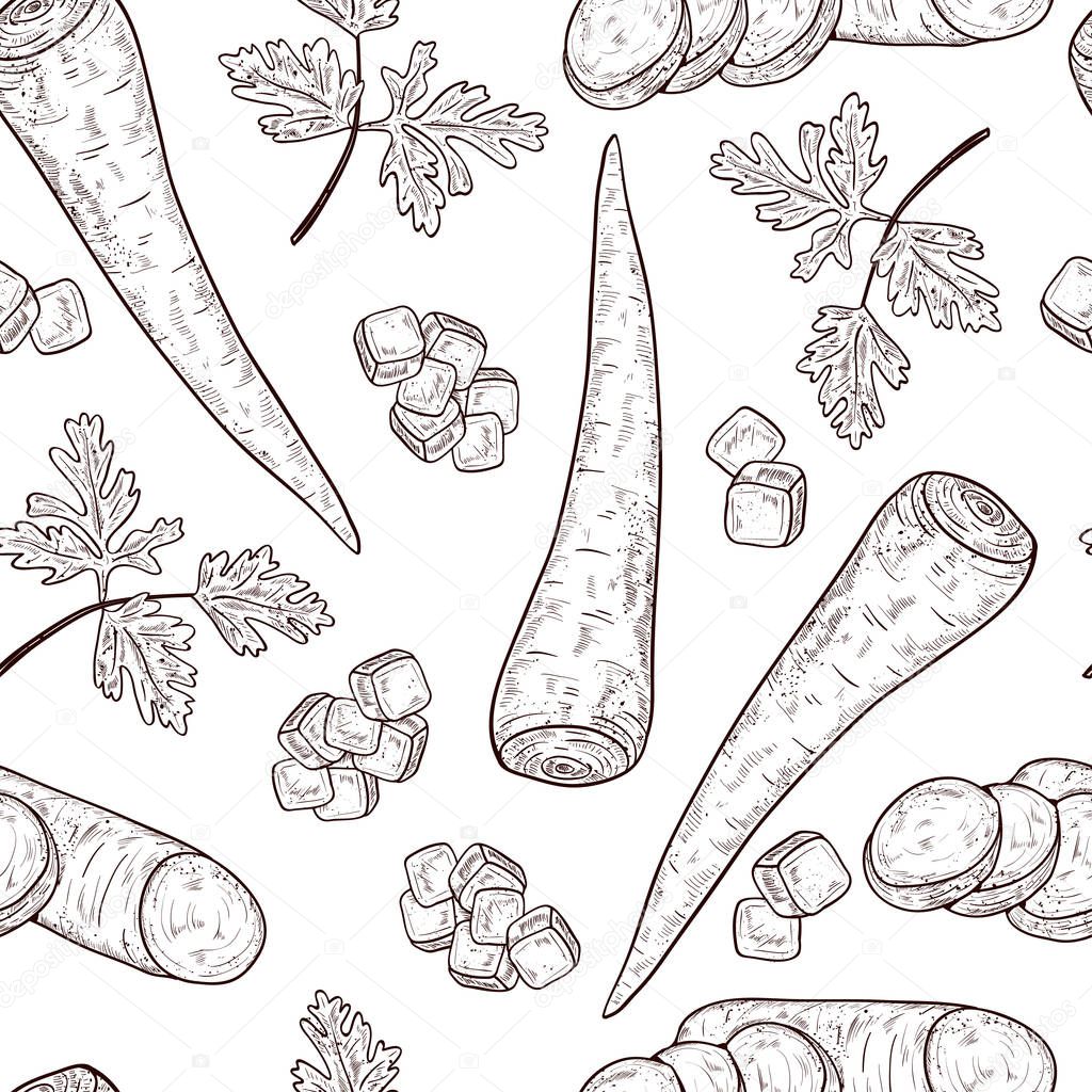 Parsnip. Vegetable. Root, sheet, piece. Sketch. Seamless, texture, background, wallpaper.