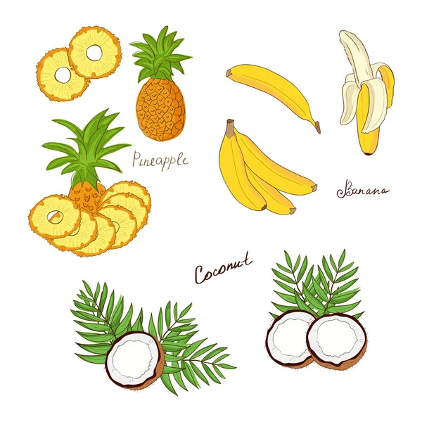 Banane, Kokosnuss, Ananas. gesetzt. Doodle, Skizze — Stockvektor