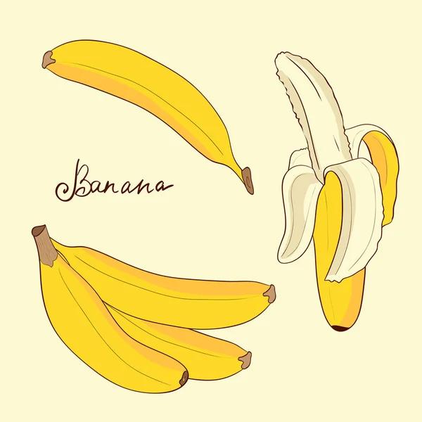 バナナ。設定します。スケッチ。エキゾチックなフルーツ. — ストックベクタ