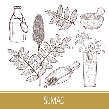 Sumak. Bitki. Çiçek, baharat, yaprakları, içki. Şişe, kase, harç, kepçe. Ayarla.