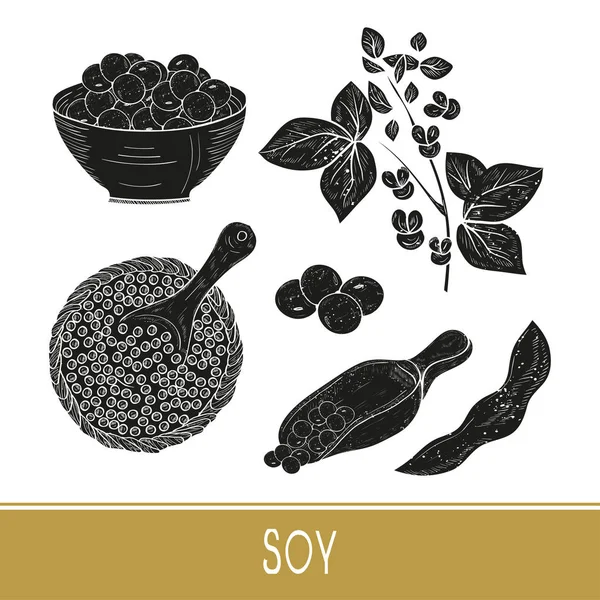 Soja. Plant van de bladeren, bloem, tak, fruit, pod. Scoop, kom. Instellen. Zwarte silhouet op witte achtergrond. — Stockvector