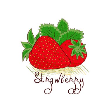 Çilek. Kroki. Berry. Beyaz bir arka plan üzerinde.