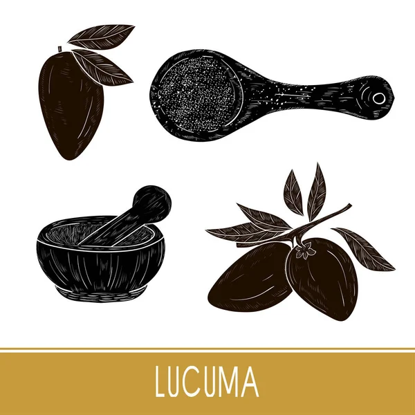 Lucuma. Fruits, feuilles, poudre, cuillère, mortier. Super bouffe. Silhouette noire. Prêt. Monophonique . — Image vectorielle