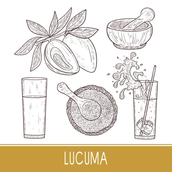 Lucuma. Früchte, Blätter. Pulver, Saft. Superfood. Skizze. gesetzt. monophon. — Stockvektor