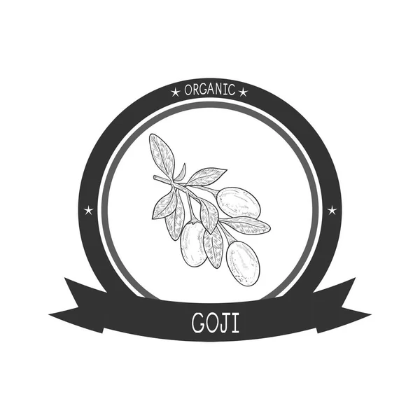 Goji. Větev, bobule, listí. Náčrt aktivní zóny. Logo, emblém. — Stockový vektor