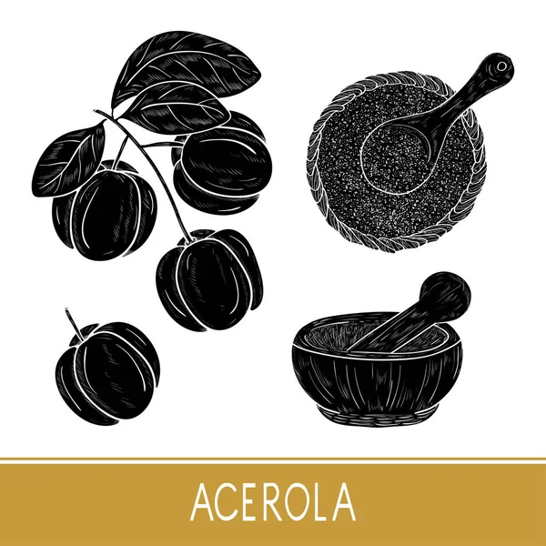 Acerola. Meyve, yaprak, toz. Ayarlayın. Beyaz arka planda siyah siluet. 