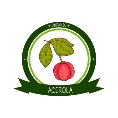 Acerola. Meyve, yaprak, dal. Kroki. Tek sesli. Logo, amblem. Renk