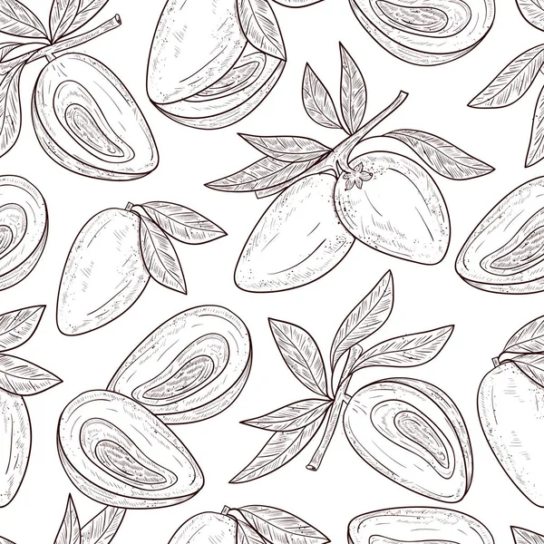 Lucuma. Fruta, rama, hojas. Sin costuras, fondo, fondo de pantalla, textura. Boceto. Monofónico . — Vector de stock