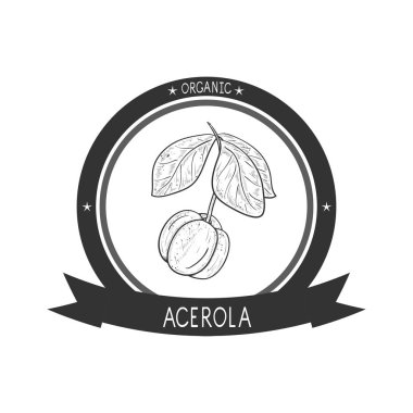Acerola. Meyve, yaprak, dal. Kroki. Tek sesli. Logo, amblem.