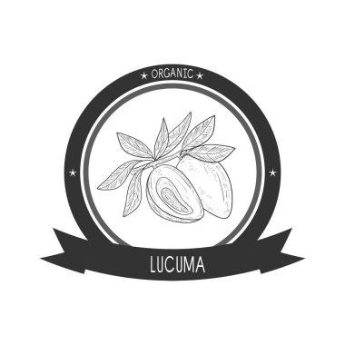 Lucuma. Meyve, yaprak. Kroki. Tek sesli. logo, amblem, simgesi.