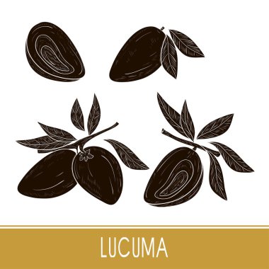 Lucuma. Meyve, yaprak. Süper yiyecek. Siyah siluet. Ayarlayın. Tek sesli.