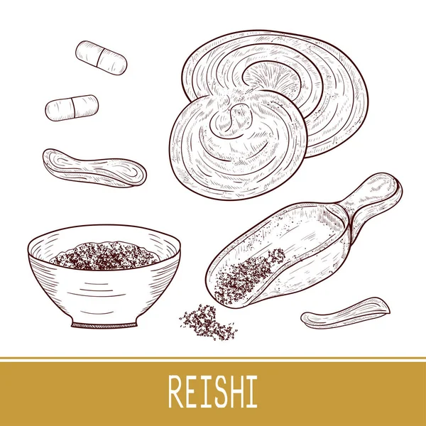 Reishi입니다. 버섯, 분말입니다. 설정 합니다. 밑그림입니다. 모노. — 스톡 벡터