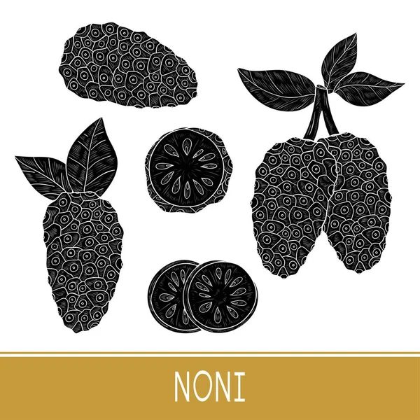 Noni. Früchte. Früchte, Blätter. gesetzt. schwarze Silhouette. — Stockvektor