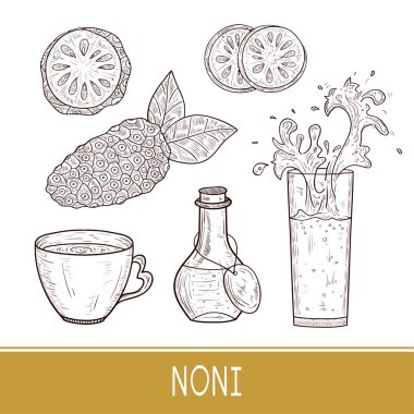 Noni. Meyve, yaprak. Kroki. Cam, Kupası, bir şişe içki. Ayarlayın. Tek sesli. 