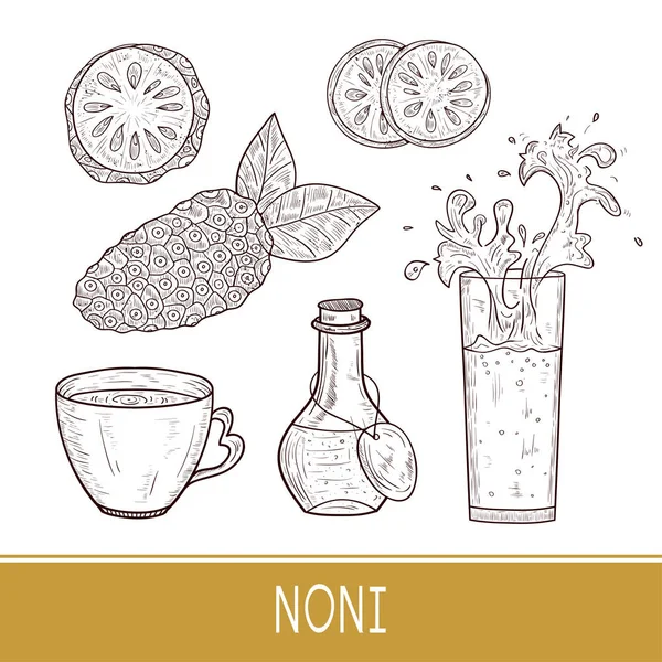 Noni. Frutta, foglie. Schizzo. Bicchiere, tazza, bottiglia da bere. Pronti. Monofonico . — Vettoriale Stock