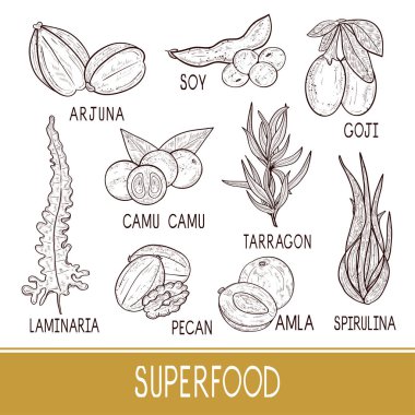 Superfood. Bitki. Yaprak, meyve, meyve. Ayarla.