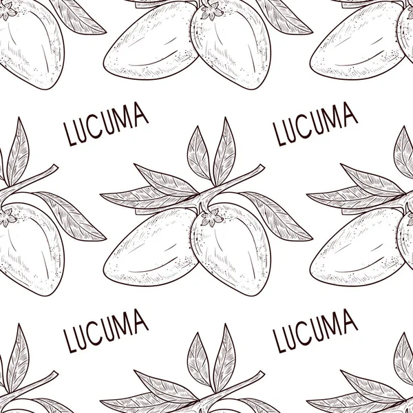 Lucuma. Fruta. Sin costuras, fondo, fondo de pantalla, textura. Boceto. Monofónico . — Vector de stock