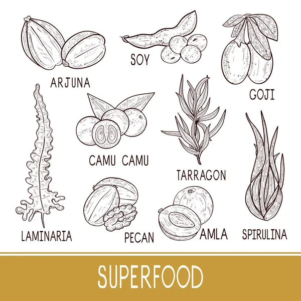 Superfood. Bitki. Yaprak, meyve, meyve. Ayarla.