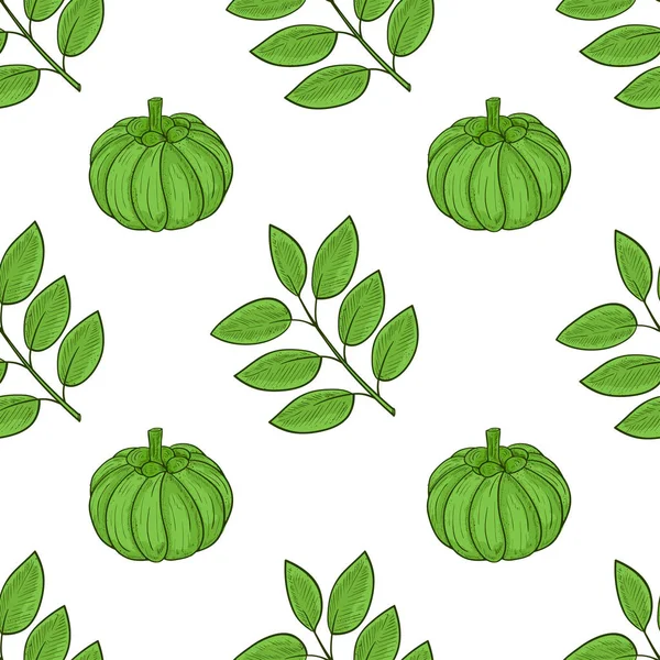 Garcinia. Feto, hojas. Boceto. Plantilla. Fondo, sin costuras, textura. Color. — Vector de stock