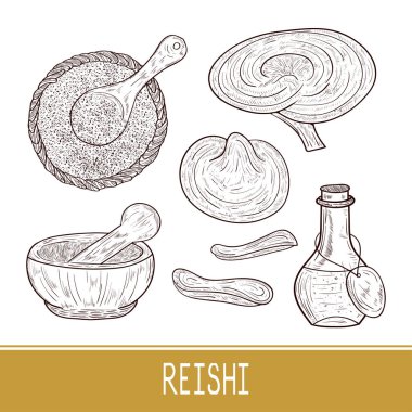 Reishi. Mantar, toz, içki. Ayarlayın. Kroki. Tek sesli.