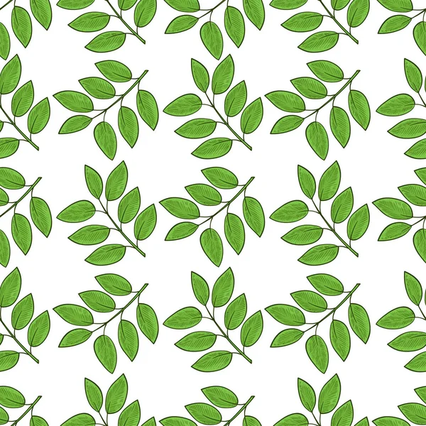 Folhas verdes, ramo. Fundo branco. Papel de parede, textura, sem costura . — Vetor de Stock