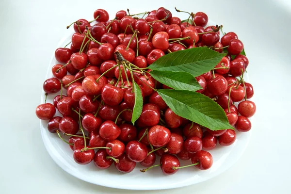 Cherry on a white plate and white background — Stock Photo, Image