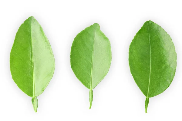 Kırpma Yolu ile beyaz arkaplanda üç limon yaprağı yeşil.