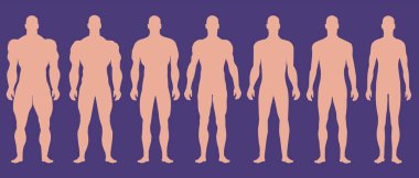 Farklı kas dereceleri olan erkek siluetleri.