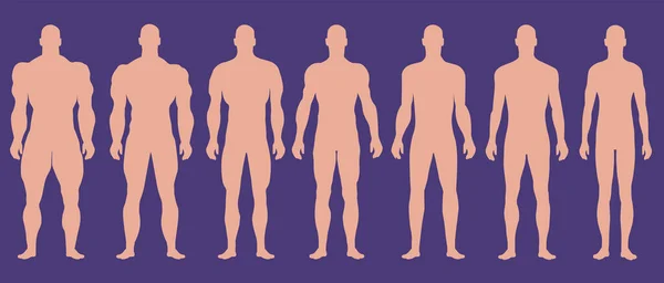 Siluetas de hombre con diferentes grados musculares . — Vector de stock