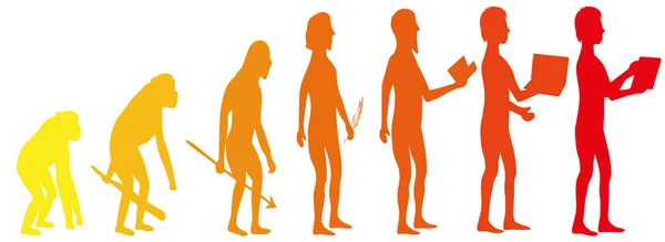 Évolution de la silhouette du singe à l'homme — Image vectorielle