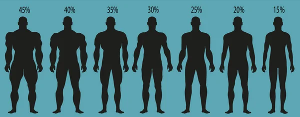 Mužské siluety s různými svaly stupňů. — Stockový vektor