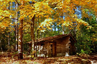 Çiftlikteki ahşap odun ev, Stouffville, Ontario, Kanada.