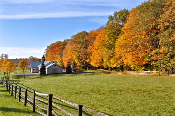 King City Ontario Canada 2008 Hästgård Omgiven Höstfärg Ontario Canda — Stockfoto