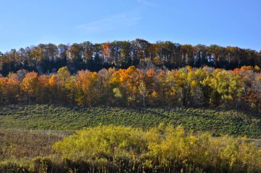 Niagara Kayalığı 'nın sonbahardaki profil görüntüsü, Milton, Ontario, Kanada.