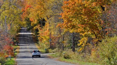 Milton, Ontario / Kanada - 10 / 19 / 2008: Niagara Kayalıkları 'ndaki dağ yolunun sonbahar yaprağı renginde manzarası.