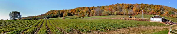 Πανοραμική Θέα Ενός Αγροκτήματος Στο Γκρεμό Niagara Φθινόπωρο Milton Οντάριο — Φωτογραφία Αρχείου