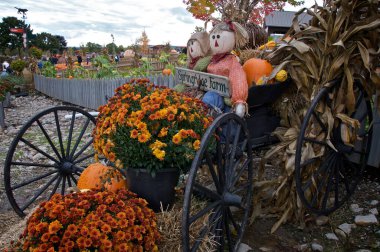 Milton, Ontario / Canada - 10/10/2009:  A farm with dolls decoration for the  Thanksgiving holiday.