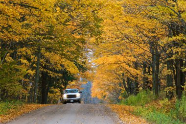 Landscape with autumn leaf color, and beautiful asphalt country road in autumn. 