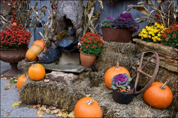 Pumpkins decoration for Halloween in autumn