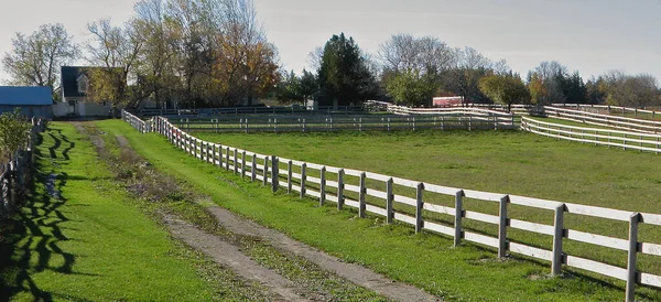 柵のある馬の農場のパノラマビュー — ストック写真