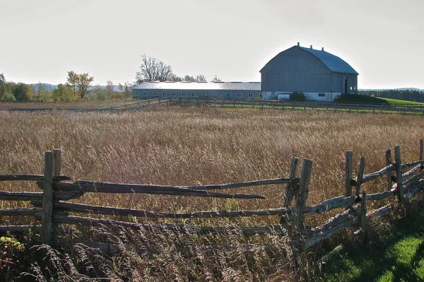 Barn Hus Jordbruket Fält Med Staketet — Stockfoto